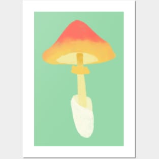 amanita jacksonii Posters and Art